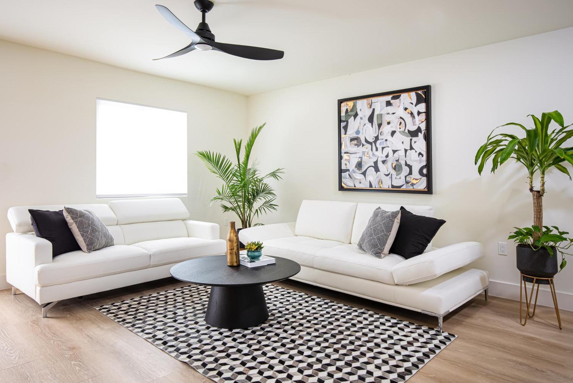 Black Vanilla - Stylish Symphony 3Miles Downtown North North Naples Esterno foto